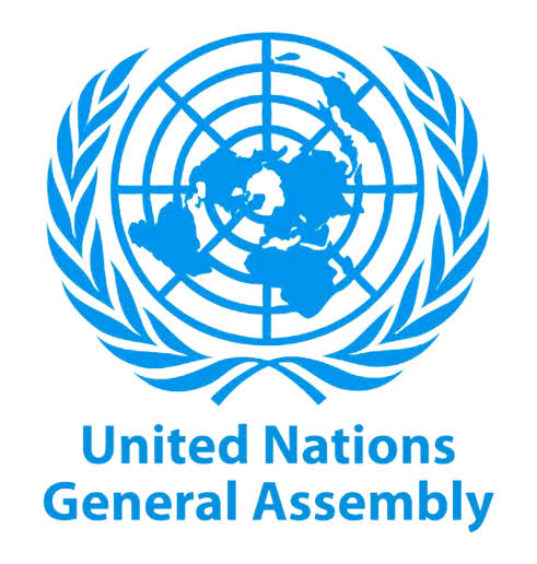 United Nations General Assembly